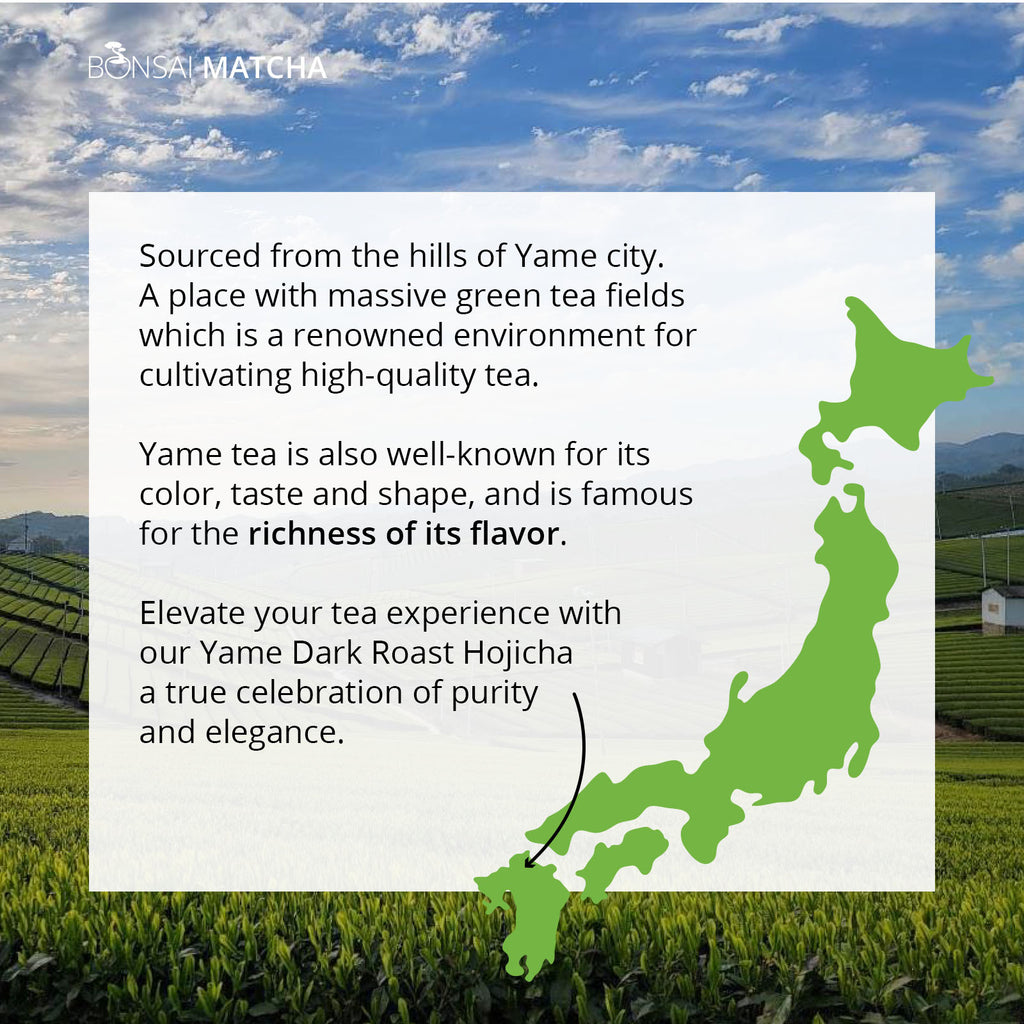 Yame hojicha sourcing information showing tea fields and map of Japan highlighting the origin and premium roasted hojicha qualities