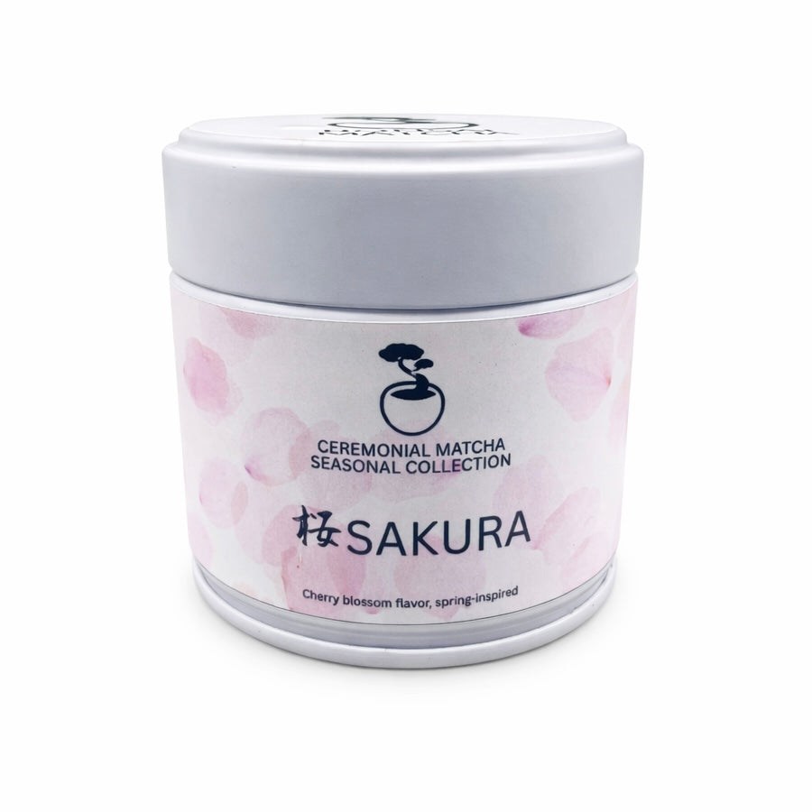 Seasonal sakura ceremonial matcha container with cherry blossom design on white background